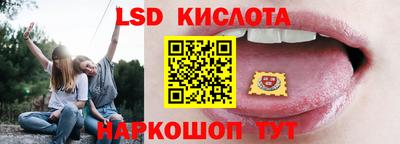 крисы Можга